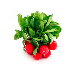 A bunch of fresh radishes, green leaves, isolated on white background, natural shade.
