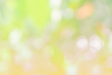 Fototapeta na wymiar Nature bokeh blur abstract background with sunlight and green tree, spring or summer background