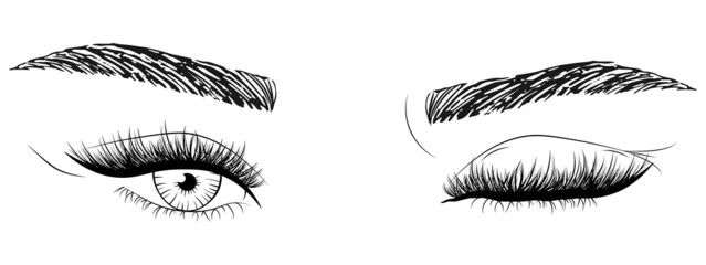 Hand drawn woman's sexy makeup look with perfectly shaped eyebrows and lashes. Vector illustration for business visit card, typograph, print. Perfect salon look.