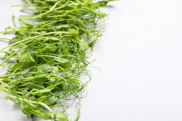 Fresh micro green on light background