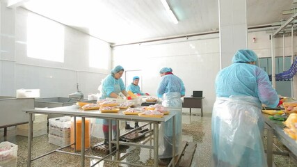 Chicken meat production line . Food processing factory . Chicken meat packaging . Workers working inside meat factory . Packaging and sorting . Camera movement