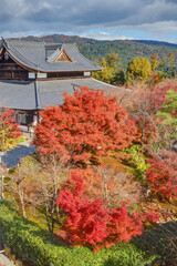 将軍塚青龍殿の紅葉
