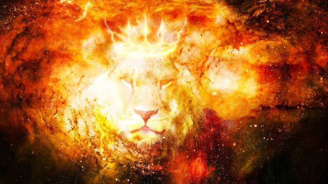 lion king in cosmic space. Lion on cosmic background.