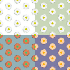 set of seamless patterns with chamomile flower. Summer flower. Ornament for decoration and printing on fabric. Design element. Vector