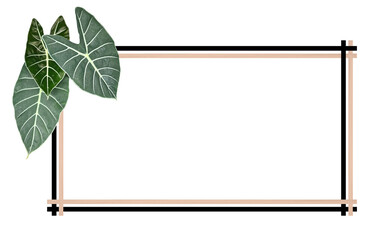  Green leaves in spaces for words on white background