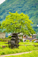 水車のある風景