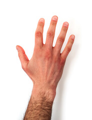 A hairy male hand showing five fingers, isolated on white handground.