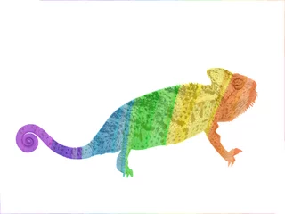 Foto op Canvas chameleon rainbow color on a white background © wip-studio