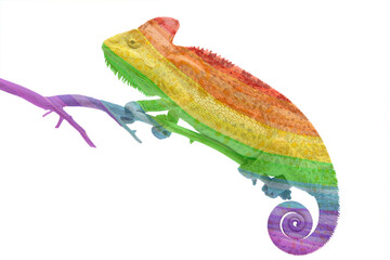 chameleon rainbow color on a white background © wip-studio