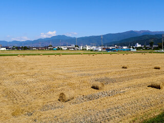 秋（10月）、稲刈り後の田んぼにある、小ぶりな稲わらのロール 長野県松本市