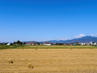 Fototapeta premium 秋（10月）、稲刈り後の田んぼにある、小ぶりな稲わらのロール 長野県松本市