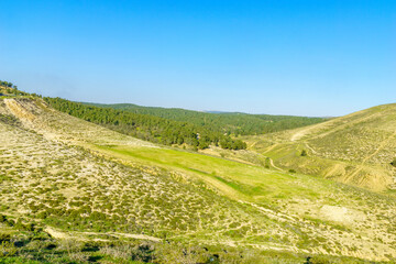Fototapeta na wymiar Landscape of the Yatir region with the Yatir Forest