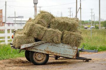 Packaged hay in an old stable trailer