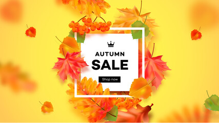 Autumn seasonal sale illustration. Realistic maple leaves. Special offer vector template