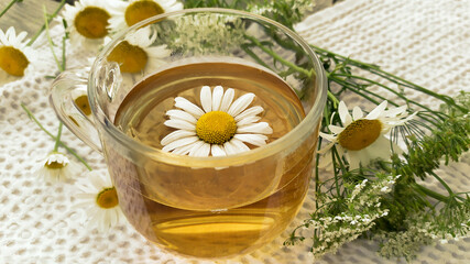 Soothing hot tea with chamomile flowers. Healing drink made from medicinal chamomile.