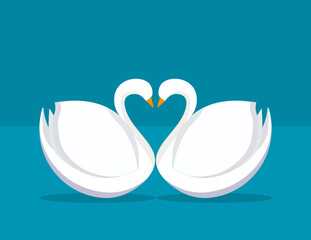 Modern design of swans with hert shape