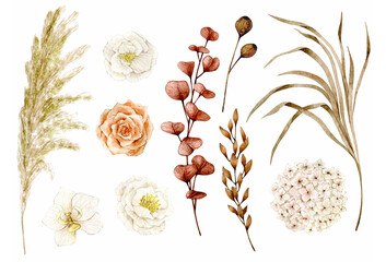 Watercolor illustration set with pampas grass, orchid, rose, hydrangea, ranunculus, eucalyptus. Hand drawn clipart. Isolated on white background.