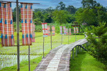 Bamboo bridge across the rice field at Homestay in the forest House in Chiang Dao chiangmai  thailand.
