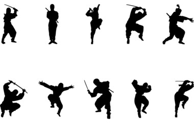 Ninjutsu silhouette vector © Loveleen