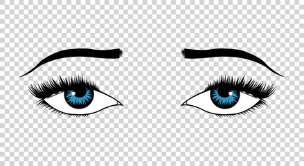  eyes. Hand drawn female luxury eye with perfectly shaped eyebrows and full eyelashes. The perfect look. Health glamour design