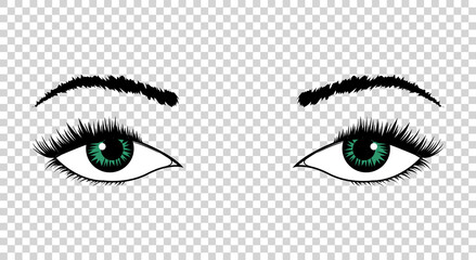  eyes. Hand drawn female luxury eye with perfectly shaped eyebrows and full eyelashes. The perfect look. Health glamour design
