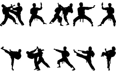 Karate silhouette vector