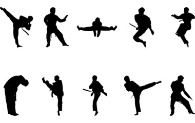 Taekwondo silhouette vector © Loveleen