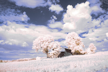 infrared photography - surreal ir photo of landscape with trees under cloudy sky - the art of our...
