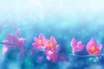 Pink flower on blurred background,blooming.