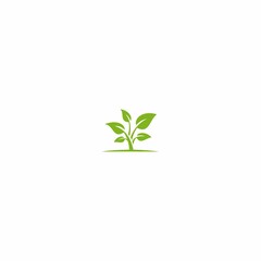 PLANT, LEAF, GREEN, NATURE, LOGO, VECTOR, ICON, EPS