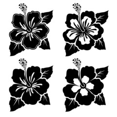 Set of black-white hibiscus flowers with leaves. Flat design elements. Vector illustration
