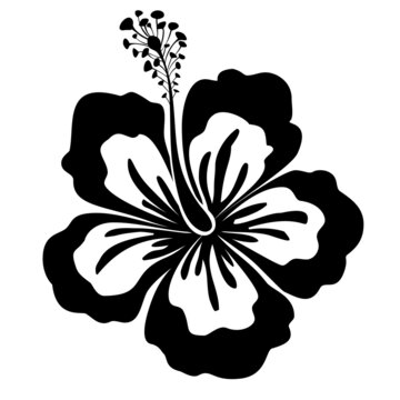 Black-white hibiscus flower. Exotic flower design. Vector illustration
