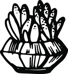Vector hand drawn doodle plant, lined pot plant, home plants, house decoration