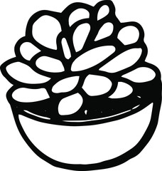 Vector hand drawn doodle plant, lined pot plant, home plants, house decoration