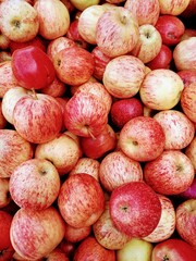 apples