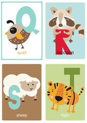 Alphabet cards for kids. Educational preschool learning ABC with animals quail, raccoon, sheep, tiger and letters Q, R, S, T. Vector illustration.