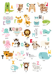 Fototapeta premium Cute Animals alphabet for kids education. A to Z poster for children. Vector illustration.