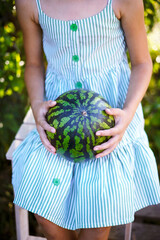 A girl in nature in a striped sundress sits and holds in her hands a whole beautiful ripe watermelon of fresh harvest image without a face
