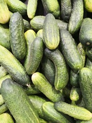 cucumbers in the market