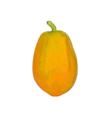 papaya fruit isolated on white background