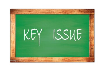 KEY    ISSUE text written on green school board.