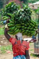 woman carries banan fruits Congo