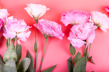 Border of flowers on a pink background.