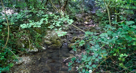 Piccolo ruscello lungo il percorso 274 nelle Marche in estate 