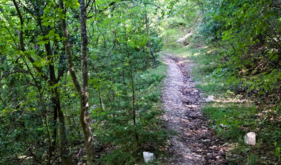 Sentiero 274 a Cagli nelle Marche, in estate 