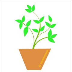 Tree in pot, vase and plant on white background, logo naturalness.