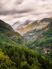 Altas montañas de fondo con un cielo gris nuboso y primer plano de un bosque verde y frondoso.