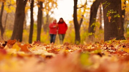 Blurred view of two friends holding yellow leaf walking along autumn forest with old trees