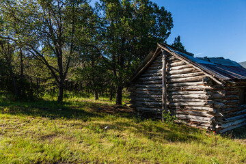 old wooden house in the forest