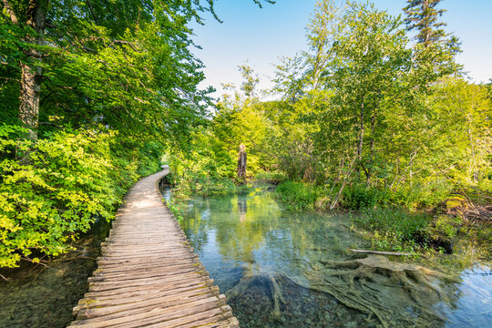 Wooden footpath at Plitvice national park, Croatia. Pathway in the forest near the lake and waterfall. Fresh beautiful nature, peaceful place. Famous tourist destination.